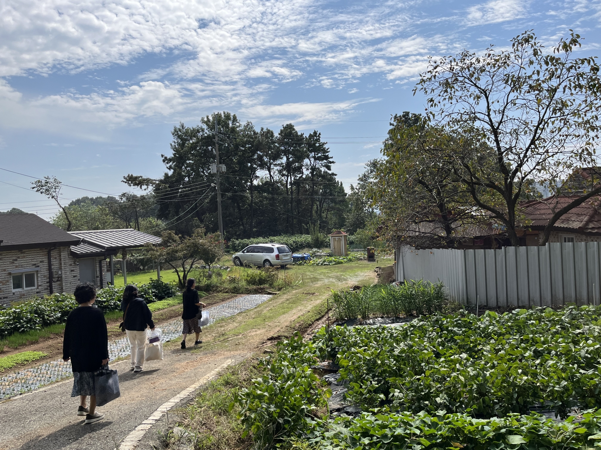 KakaoTalk_Photo_2025-11-22-18-52-14 015jpeg.jpeg