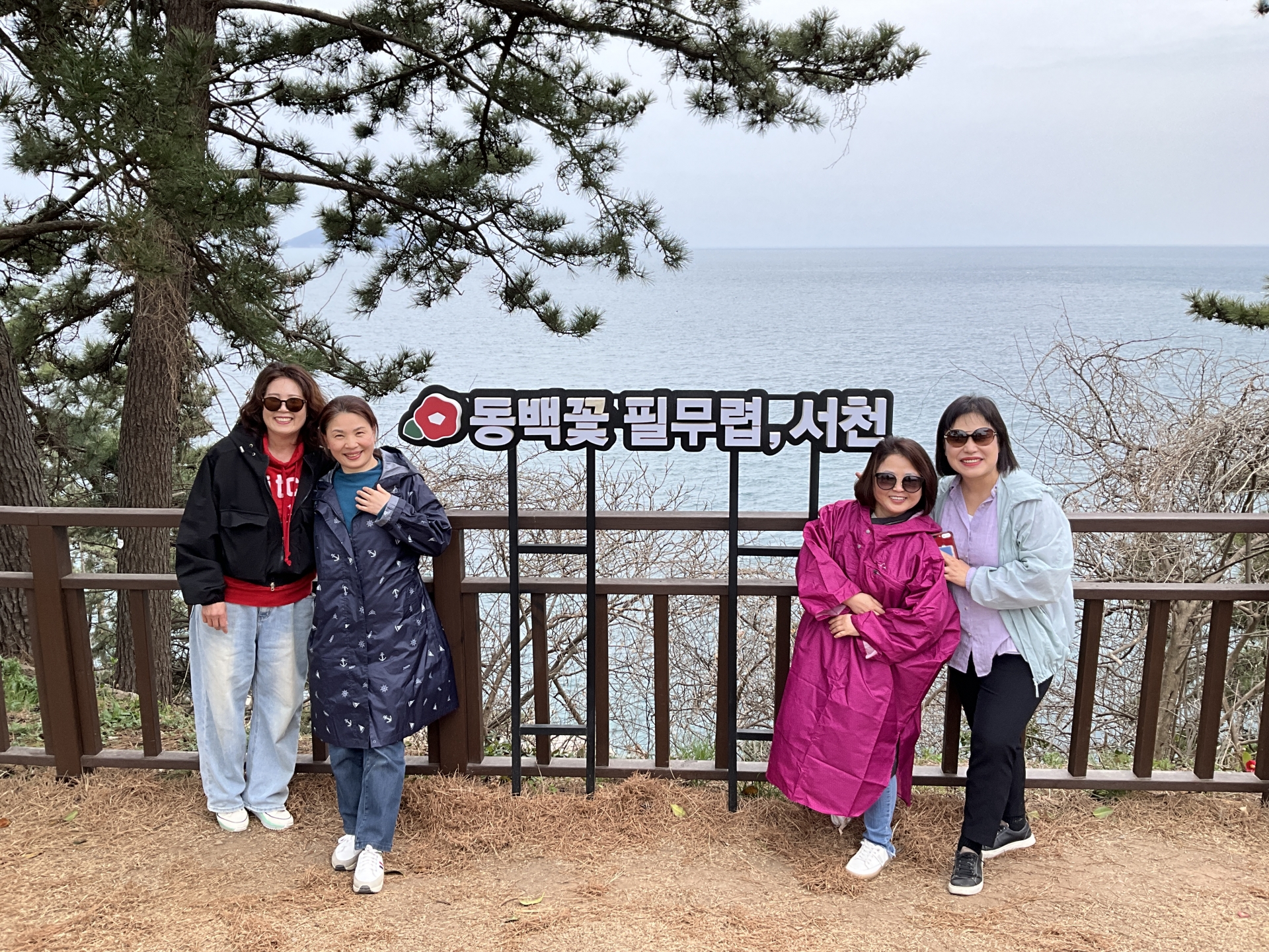 IMG_1511.jpeg