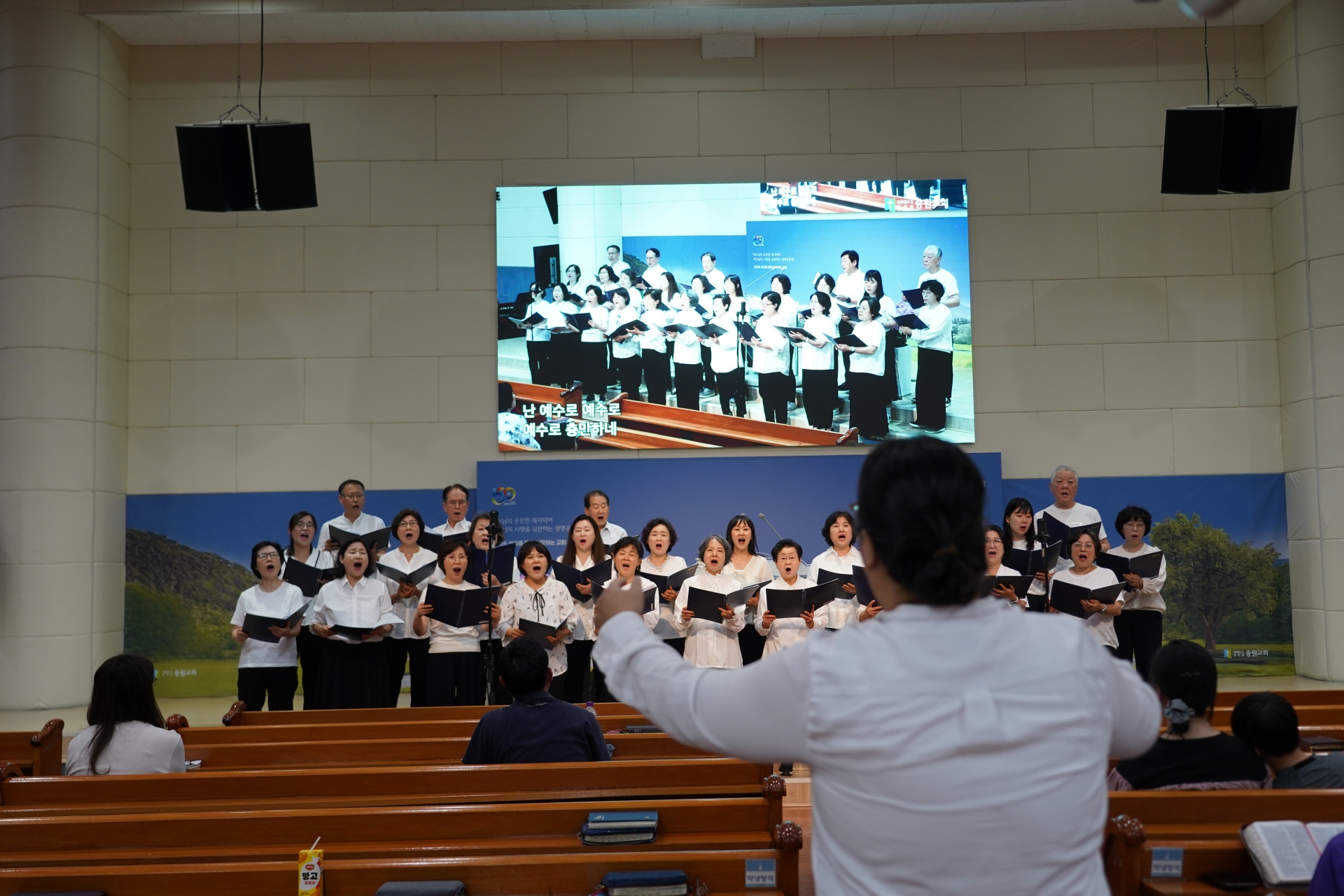 DSC02935.JPG