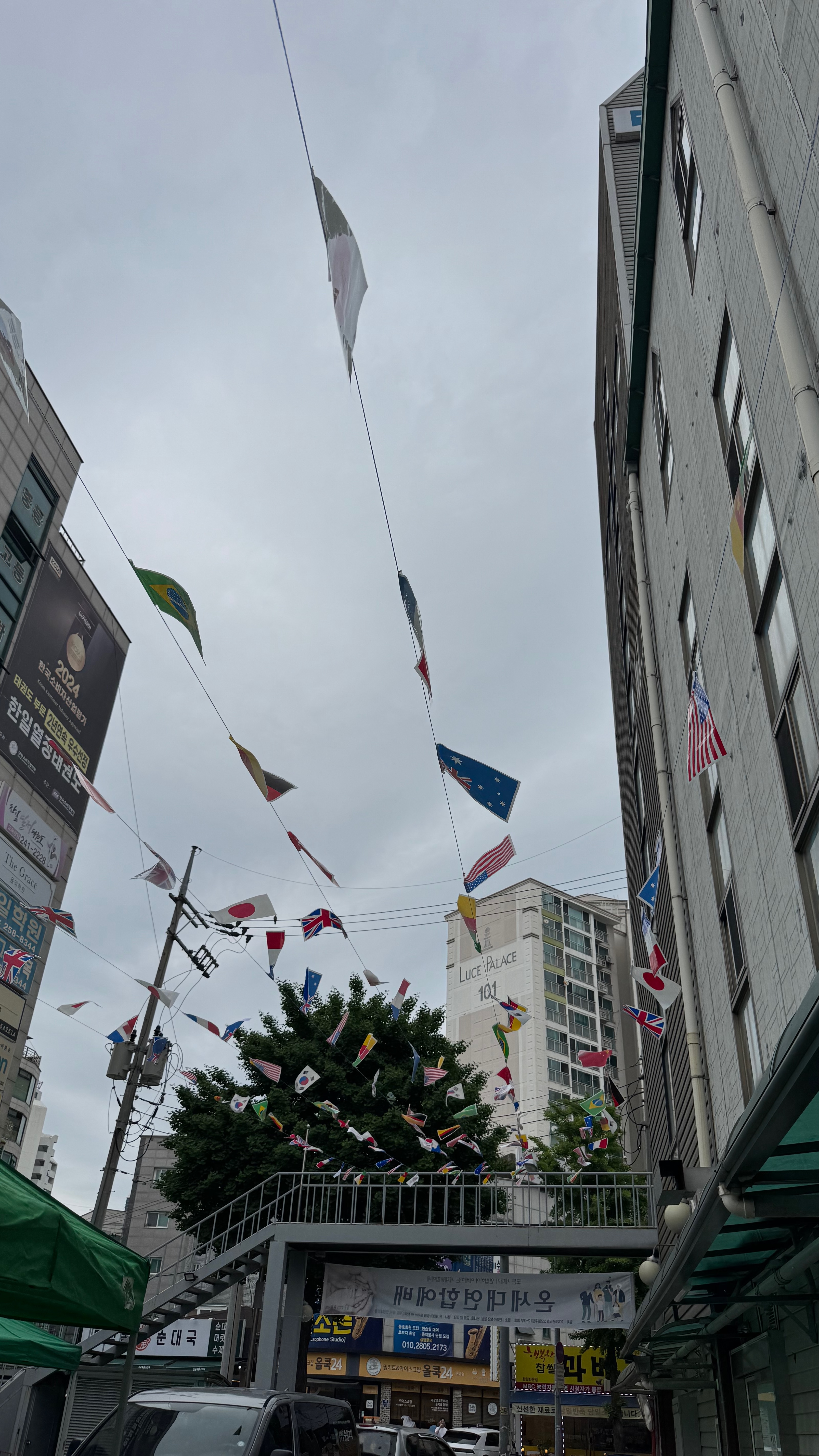 IMG_4213.jpeg